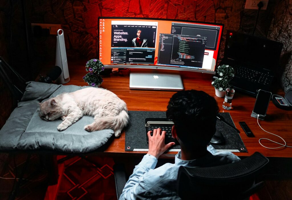 Cat sleeping in a cat bed next to a person working.