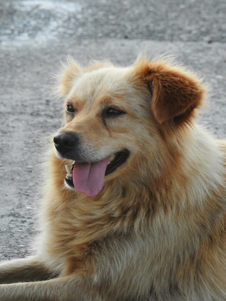 pexels rumeysa yalcin 3875531 17553177