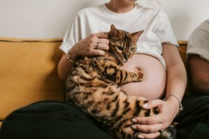 How to Safely Introduce Your Pet to a New Baby