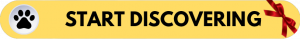 start discovering xmas